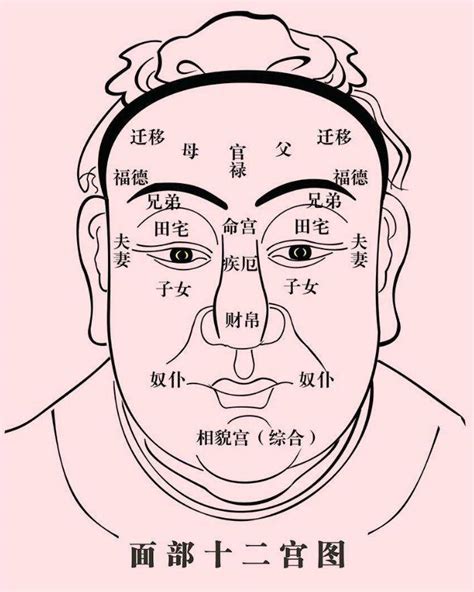 眼下陰德紋|告訴你什麼是陰騭紋、陰德紋－－學佛網